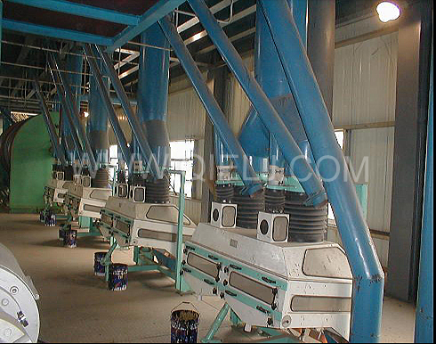 大豆預(yù)處理(圖3) 大豆預(yù)處理(圖3)