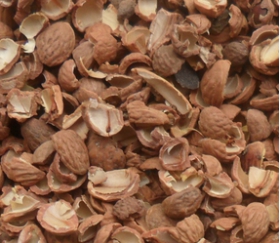 核桃深加工——核桃油，核桃粉，核桃工藝品，活性炭制品(圖3)