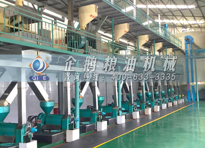 如何降低壓榨花生油中黃曲霉毒素含量？企鵝糧油機械為您提供可靠方法(圖2)