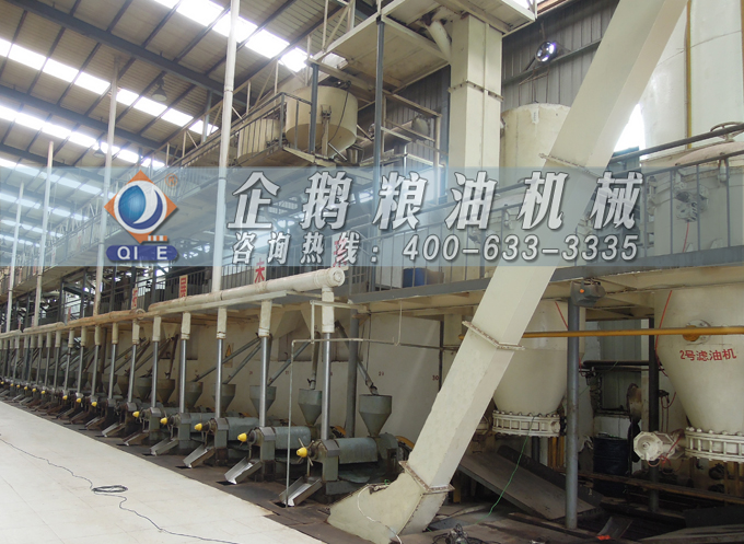 如何降低壓榨花生油中黃曲霉毒素含量？企鵝糧油機械為您提供可靠方法(圖3)