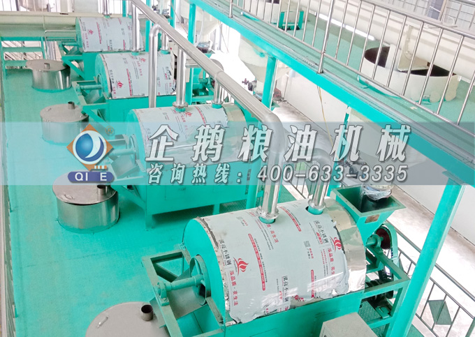 如何降低壓榨花生油中黃曲霉毒素含量？企鵝糧油機械為您提供可靠方法(圖4)