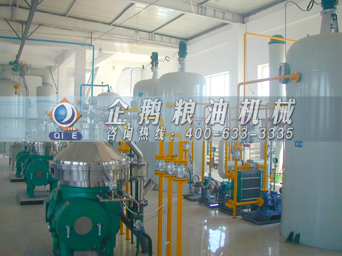 如何投資建設棕櫚油加工廠？企鵝糧油機械在線為您答疑解惑(圖2)