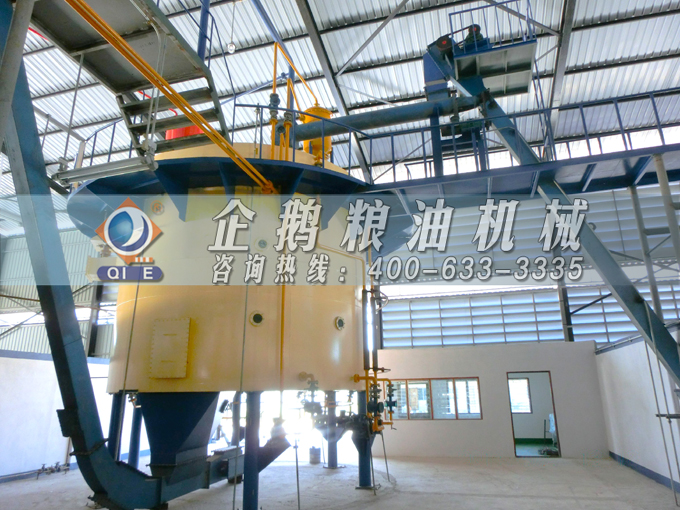 如何投資建設棕櫚油加工廠？企鵝糧油機械在線為您答疑解惑(圖5)