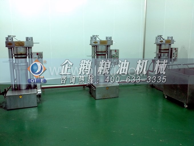 芝麻油壓榨處理設(shè)備，企鵝牌液壓榨油機勇于創(chuàng)新生產(chǎn)效率高(圖4)