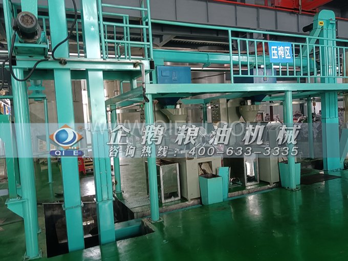 企鵝牌核桃油榨油設(shè)備，生產(chǎn)綠色健康油受大眾喜愛(圖4)