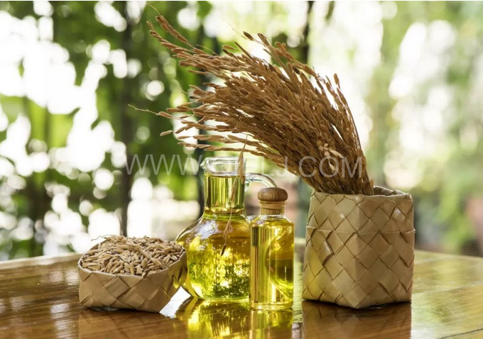 米糠油精煉設(shè)備，企鵝機械不斷創(chuàng)新提升工藝效果(圖1)