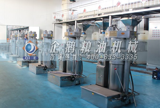 芝麻油提取加工，企鵝糧油機械生產(chǎn)色香味俱佳的油脂(圖3)